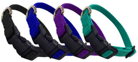 Couture Nylon Dog Collar