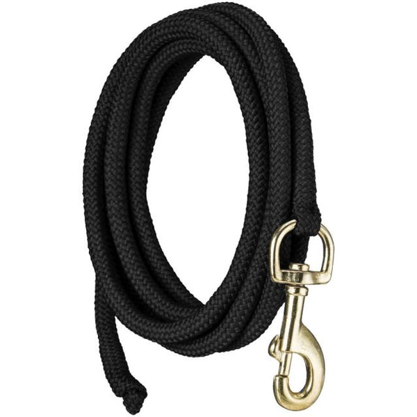 8' Nylon Dog Leash / Lead