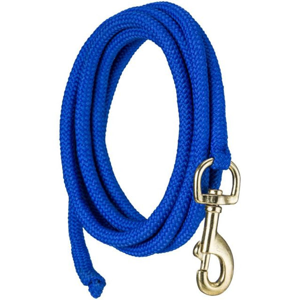 8' Nylon Dog Leash / Lead