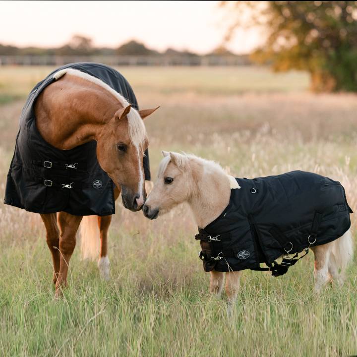 PC 1200D Horse Waterproof Blanket w/ 300 Gram Polyester Fill