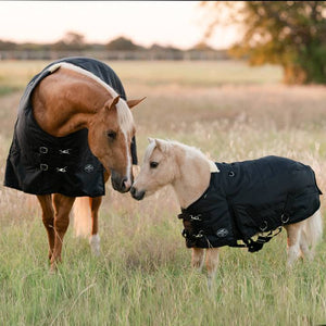 PC 1200D Horse Waterproof Blanket w/ 300 Gram Polyester Fill