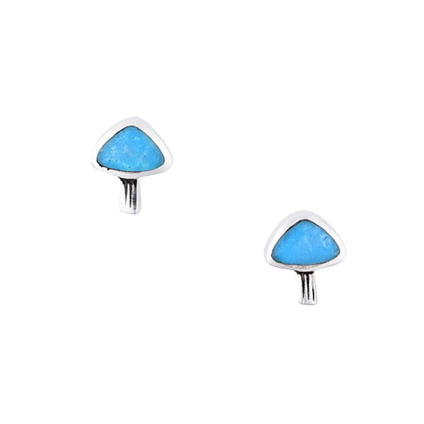 Turquoise Stud Earrings