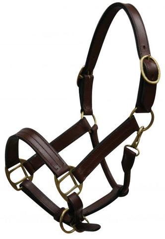 Leather Show Halter w/ Brass Hardware