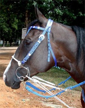 Josey Pro Reins w/ Rope Martingale