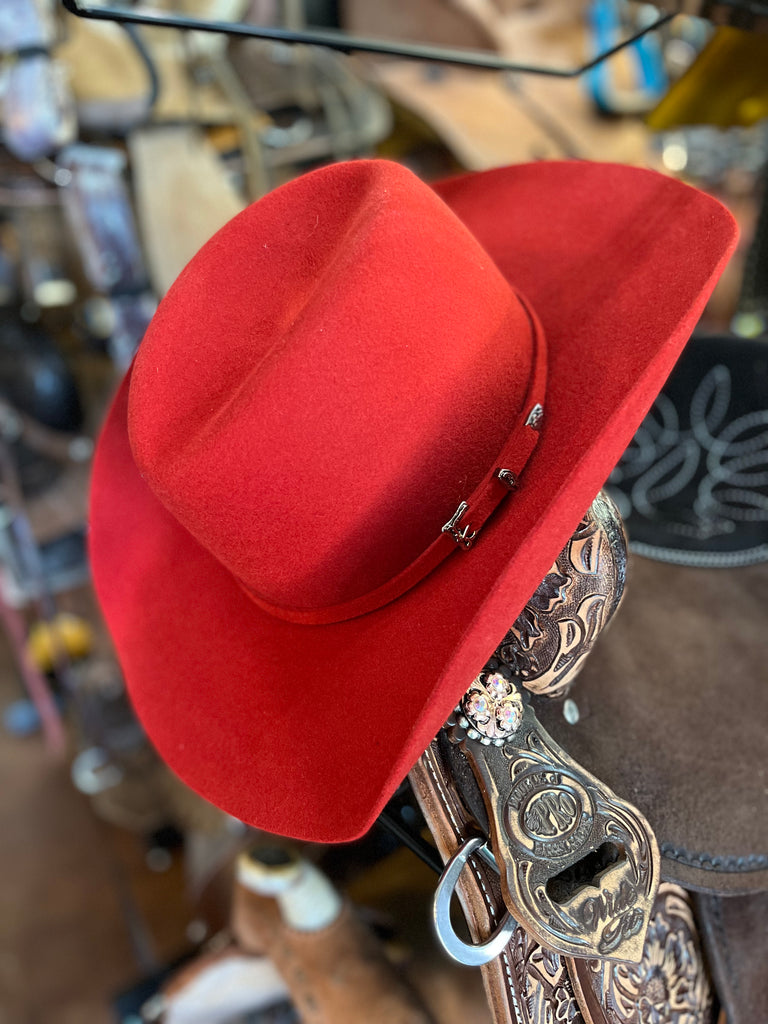 Serratelli Mesa Purple Pure Wool Cowboy Hat – Painted Cowgirl Western Store